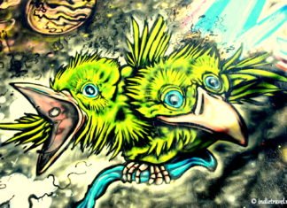 Street Stories of Buenos Aires Street art Buenos Aires