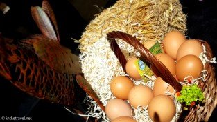 Fresh Organic Eggs, Buenos Aires Market