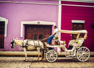 A Week in the Yucatan Peninsula