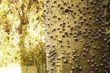 Home Hotel Buenos Aires