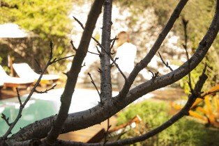 Home Hotel Buenos Aires