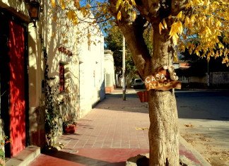 Cafayate & Casa Arbol Hostel Cafayate & Casa Arbol Hostel