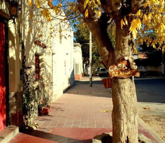 Cafayate & Casa Arbol Hostel
