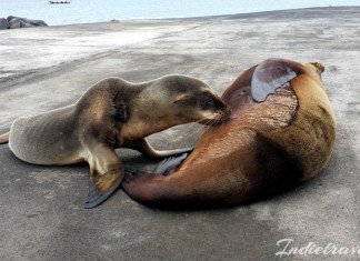 Galapagos Islands – Everything You Should Know San Cristobal port