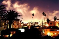 LA palm trees sunset