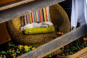 Gringos Bed & Breakfast Buzios