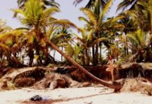 Grounding Routines for the Nomadic Yogi