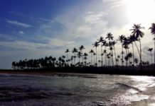 Sao Miguel dos Milagres: Hidden Paradise in the North of Brazil sao miguel dos milagres