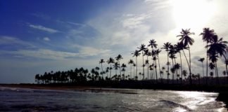 Sao Miguel dos Milagres: Hidden Paradise in the North of Brazil sao miguel dos milagres