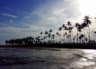 Sao Miguel dos Milagres: Hidden Paradise in the North of Brazil sao miguel dos milagres