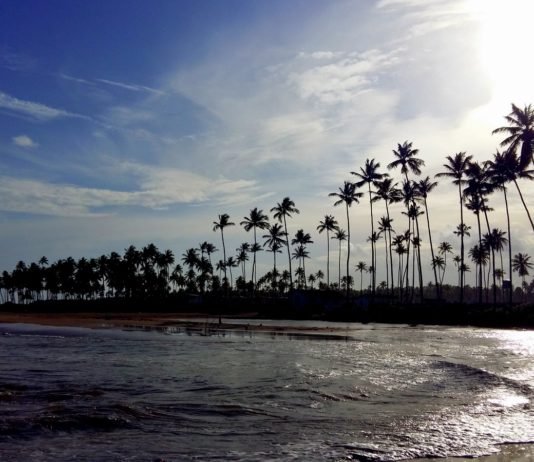 Sao Miguel dos Milagres: Hidden Paradise in the North of Brazil sao miguel dos milagres